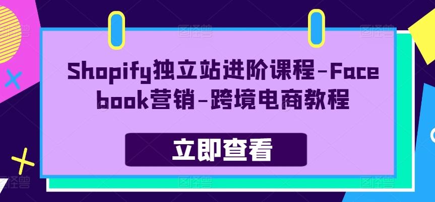 Shopify独立站进阶课程-Facebook营销-跨境电商教程壹学湾 - 一站式在线学习平台，专注职业技能提升与知识成长壹学湾