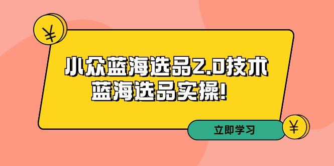 拼多多培训第33期：小众蓝海选品2.0技术-蓝海选品实操！壹学湾 - 一站式在线学习平台，专注职业技能提升与知识成长壹学湾