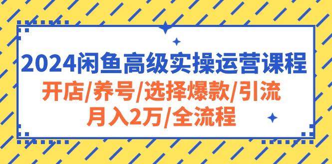 2024闲鱼高级实操运营课程：开店/养号/选择爆款/引流/月入2万/全流程壹学湾 - 一站式在线学习平台，专注职业技能提升与知识成长壹学湾