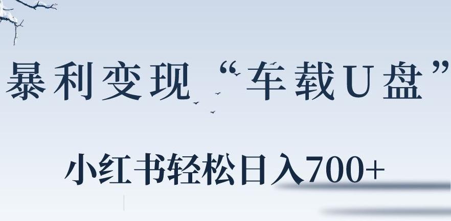 小红书“车载U盘”暴利引流，日入700+壹学湾 - 一站式在线学习平台，专注职业技能提升与知识成长壹学湾