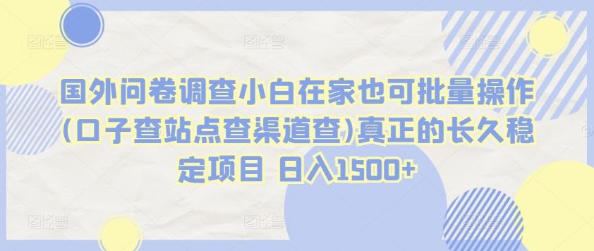 国外问卷调查小白在家也可批量操作(口子查站点查渠道查)真正的长久稳定项目 日入1500+【揭秘】壹学湾 - 一站式在线学习平台，专注职业技能提升与知识成长壹学湾