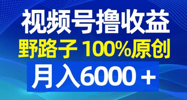 视频号野路子撸收益，100%原创，条条爆款，月入6000＋【揭秘】壹学湾 - 一站式在线学习平台，专注职业技能提升与知识成长壹学湾