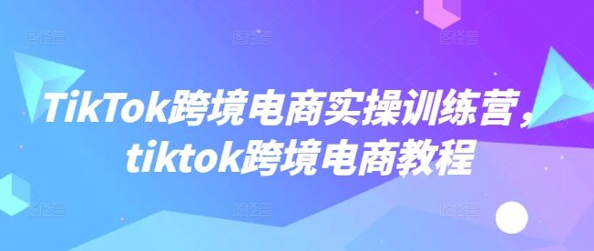 TikTok跨境电商实操训练营，tiktok跨境电商教程壹学湾 - 一站式在线学习平台，专注职业技能提升与知识成长壹学湾