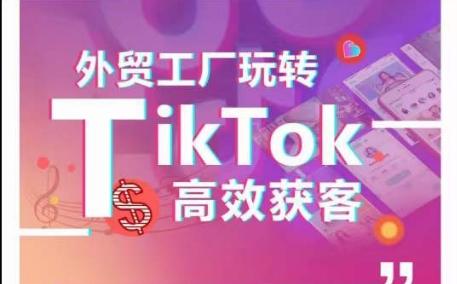 外贸工厂玩转TikTok高效获客，多种引流方式与账号定位技巧，拆解爆款短视频打造成功案例壹学湾 - 一站式在线学习平台，专注职业技能提升与知识成长壹学湾