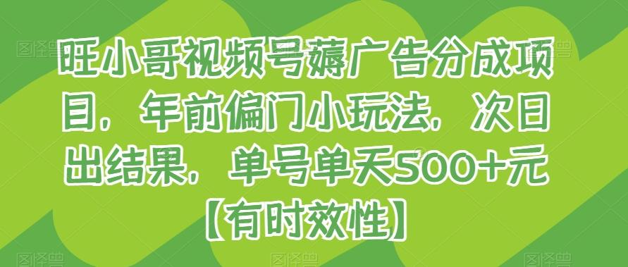 旺小哥视频号薅广告分成项目，年前偏门小玩法，次日出结果，单号单天500+元【有时效性】壹学湾 - 一站式在线学习平台，专注职业技能提升与知识成长壹学湾