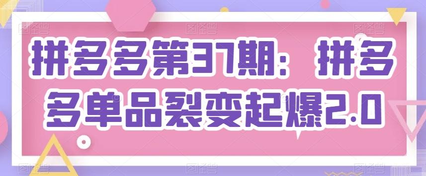 拼多多第37期：拼多多单品裂变起爆2.0壹学湾 - 一站式在线学习平台，专注职业技能提升与知识成长壹学湾