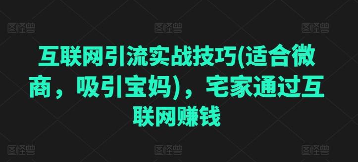 互联网引流实战技巧(适合微商，吸引宝妈)，宅家通过互联网赚钱壹学湾 - 一站式在线学习平台，专注职业技能提升与知识成长壹学湾