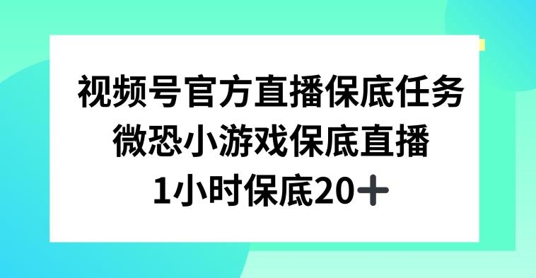 视频号直播任务，微恐小游戏，1小时20+【揭秘】壹学湾 - 一站式在线学习平台，专注职业技能提升与知识成长壹学湾