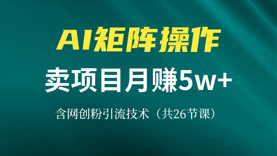 网创IP打造课，借助AI卖项目月赚5万+，含引流技术(共26节课壹学湾 - 一站式在线学习平台，专注职业技能提升与知识成长壹学湾