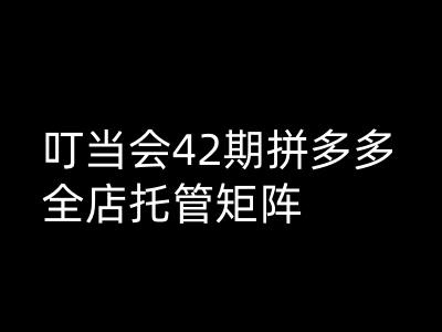 叮当会拼多多打爆班原创高阶技术第42期，拼多多全店托管矩阵壹学湾 - 一站式在线学习平台，专注职业技能提升与知识成长壹学湾