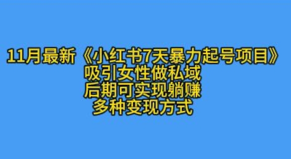 K总部落11月最新小红书7天暴力起号项目，吸引女性做私域【揭秘】壹学湾 - 一站式在线学习平台，专注职业技能提升与知识成长壹学湾