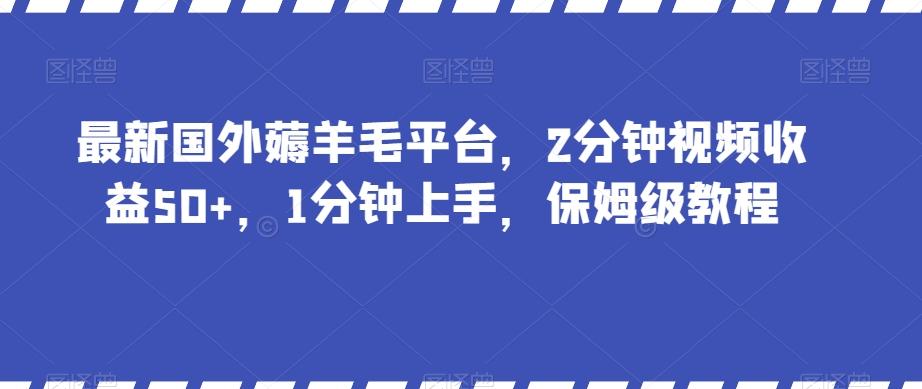 最新国外薅羊毛平台，2分钟视频收益50+，1分钟上手，保姆级教程【揭秘】壹学湾 - 一站式在线学习平台，专注职业技能提升与知识成长壹学湾