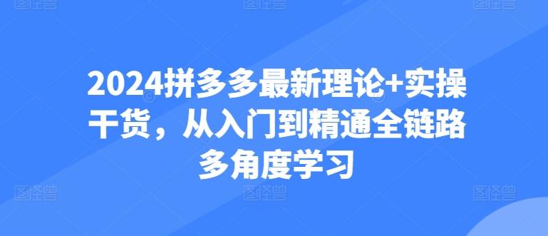 2024拼多多最新理论+实操干货，从入门到精通全链路多角度学习壹学湾 - 一站式在线学习平台，专注职业技能提升与知识成长壹学湾