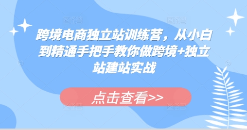 跨境电商独立站训练营，从小白到精通手把手教你做跨境+独立站建站实战壹学湾 - 一站式在线学习平台，专注职业技能提升与知识成长壹学湾