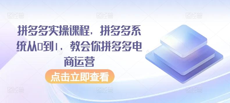 拼多多实操课程，拼多多系统从0到1，教会你拼多多电商运营壹学湾 - 一站式在线学习平台，专注职业技能提升与知识成长壹学湾