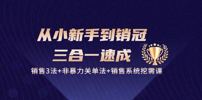 从小新手到销冠 三合一速成：销售3法+非暴力关单法+销售系统挖需课 (27节壹学湾 - 一站式在线学习平台，专注职业技能提升与知识成长壹学湾