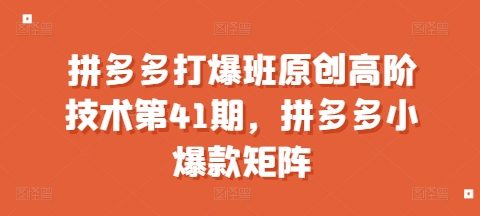 拼多多打爆班原创高阶技术第41期，拼多多小爆款矩阵壹学湾 - 一站式在线学习平台，专注职业技能提升与知识成长壹学湾