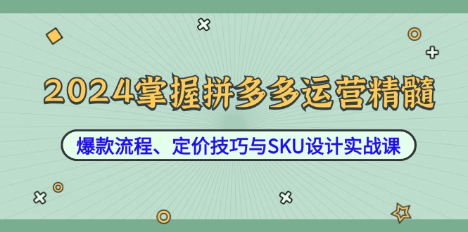 2024掌握拼多多运营精髓：爆款流程、定价技巧与SKU设计实战课壹学湾 - 一站式在线学习平台，专注职业技能提升与知识成长壹学湾