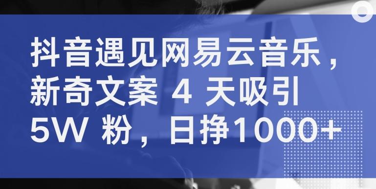 抖音遇见网易云音乐，新奇文案 4 天吸引 5W 粉，日挣1000+【揭秘】壹学湾 - 一站式在线学习平台，专注职业技能提升与知识成长壹学湾