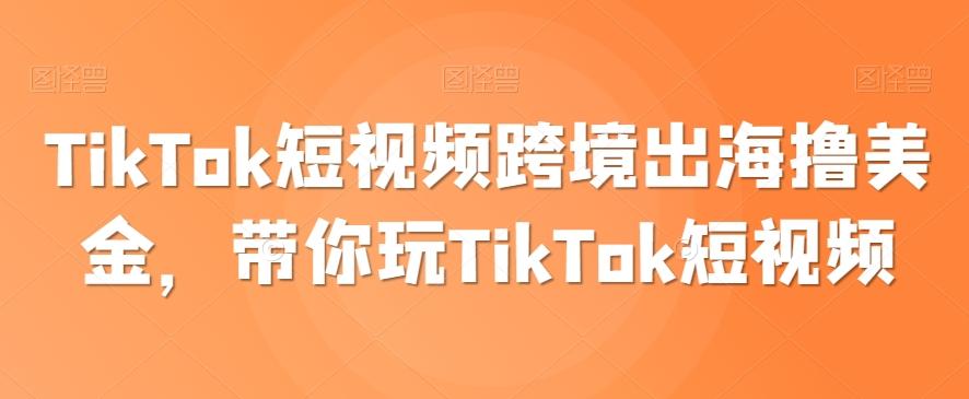 TikTok短视频跨境出海撸美金，带你玩TikTok短视频壹学湾 - 一站式在线学习平台，专注职业技能提升与知识成长壹学湾