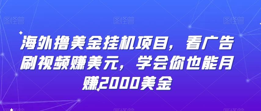 海外撸美金挂机项目，看广告刷视频赚美元，学会你也能月赚2000美金壹学湾 - 一站式在线学习平台，专注职业技能提升与知识成长壹学湾