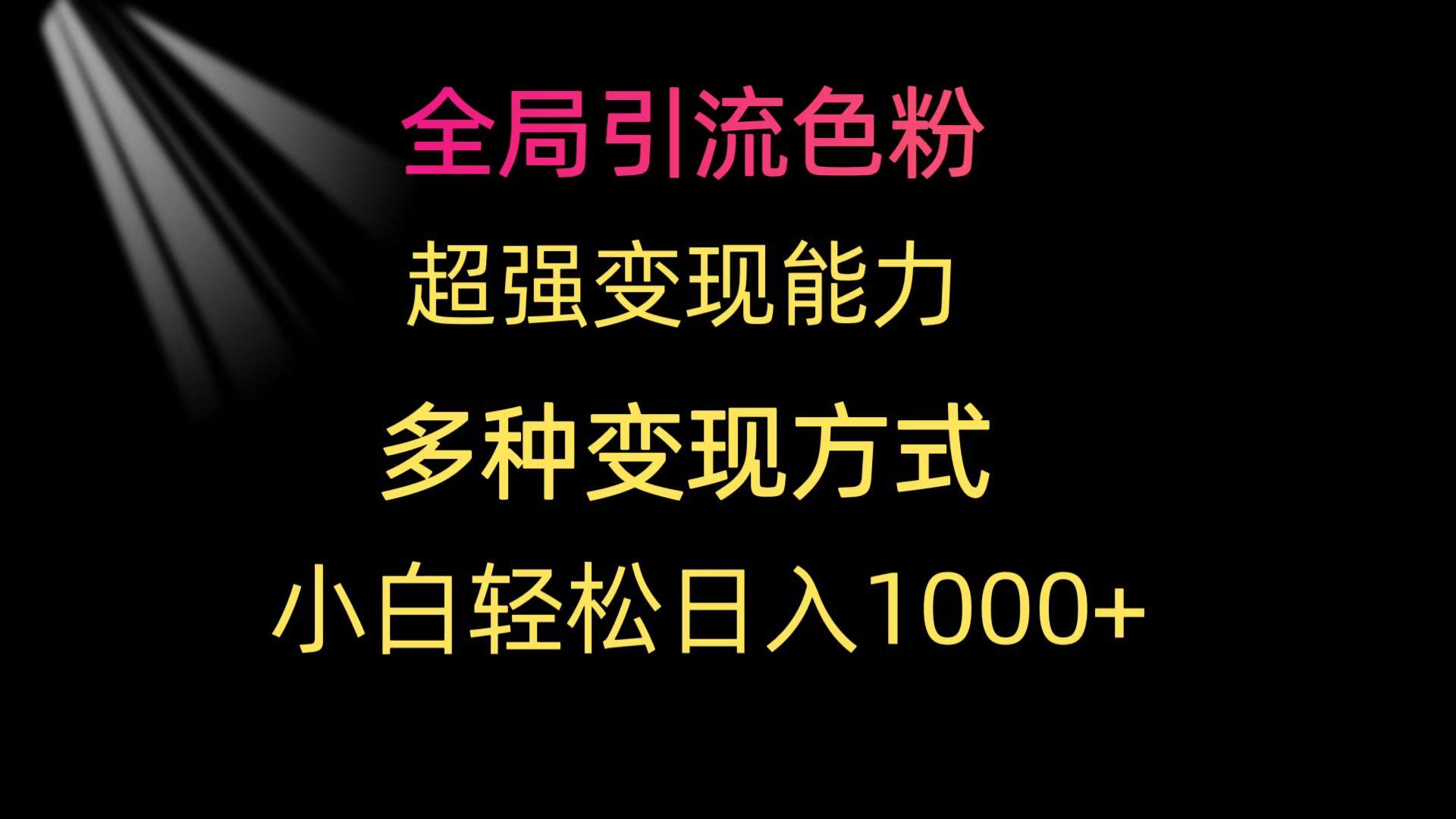 (9680期)全局引流色粉 超强变现能力 多种变现方式 小白轻松日入1000+壹学湾 - 一站式在线学习平台，专注职业技能提升与知识成长壹学湾