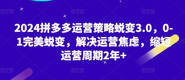 2024拼多多运营策略蜕变3.0，0-1完美蜕变，解决运营焦虑，缩短运营周期2年+壹学湾 - 一站式在线学习平台，专注职业技能提升与知识成长壹学湾