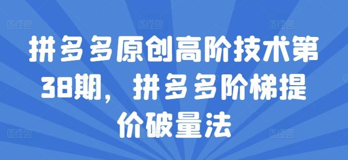 拼多多原创高阶技术第38期，拼多多阶梯提价破量法壹学湾 - 一站式在线学习平台，专注职业技能提升与知识成长壹学湾