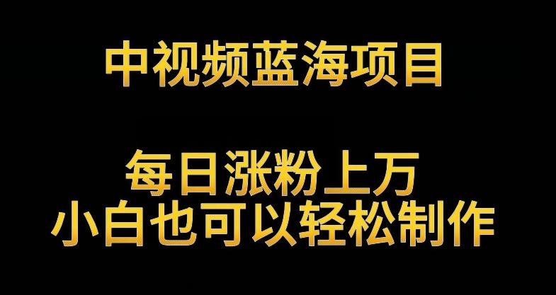 中视频蓝海项目，解读英雄人物生平，每日涨粉上万，小白也可以轻松制作，月入过万不是梦【揭秘】壹学湾 - 一站式在线学习平台，专注职业技能提升与知识成长壹学湾