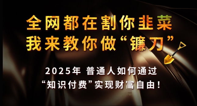 全网都在割你韭菜，我来教你做镰刀，2025年普通人如何通过 知识付费 实现财F自由【揭秘】壹学湾 - 一站式在线学习平台，专注职业技能提升与知识成长壹学湾