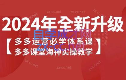 海神老师·拼多多运营必学体系课壹学湾 - 一站式在线学习平台，专注职业技能提升与知识成长壹学湾