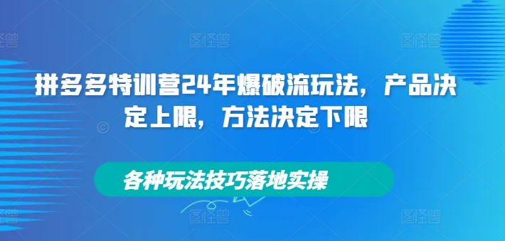 拼多多特训营24年爆破流玩法，产品决定上限，方法决定下限，各种玩法技巧落地实操壹学湾 - 一站式在线学习平台，专注职业技能提升与知识成长壹学湾