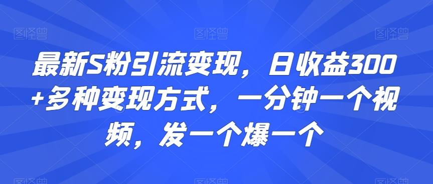 最新S粉引流变现，日收益300+多种变现方式，一分钟一个视频，发一个爆一个【揭秘】壹学湾 - 一站式在线学习平台，专注职业技能提升与知识成长壹学湾