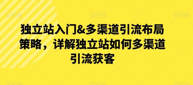 独立站入门&多渠道引流布局策略，详解独立站如何多渠道引流获客壹学湾 - 一站式在线学习平台，专注职业技能提升与知识成长壹学湾