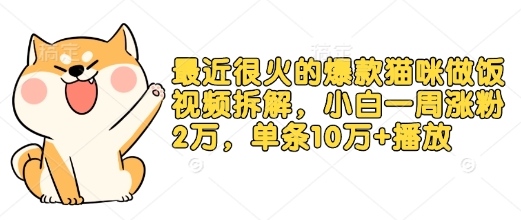 最近很火的爆款猫咪做饭视频拆解，小白一周涨粉2万，单条10万+播放(附保姆级教程)壹学湾 - 一站式在线学习平台，专注职业技能提升与知识成长壹学湾