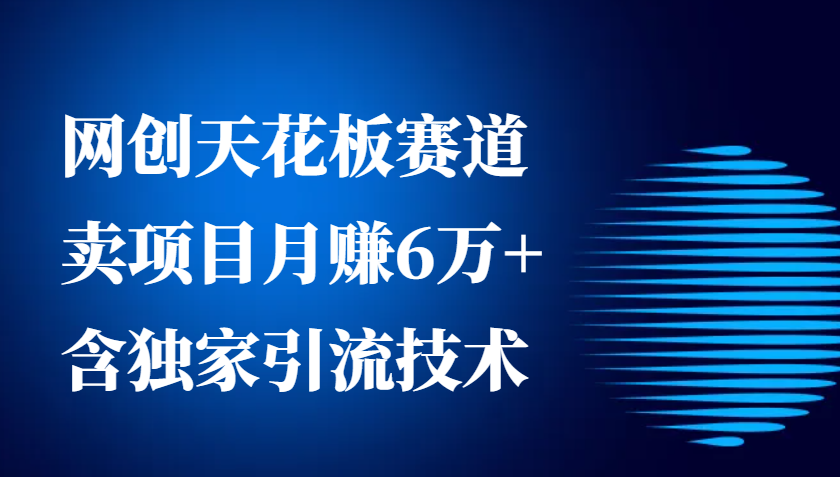 网创天花板赛道，卖项目月赚6万+，含独家引流技术(共26节课)壹学湾 - 一站式在线学习平台，专注职业技能提升与知识成长壹学湾