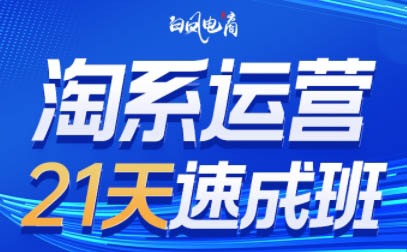 淘系运营21天速成班(更新9月)壹学湾 - 一站式在线学习平台，专注职业技能提升与知识成长壹学湾