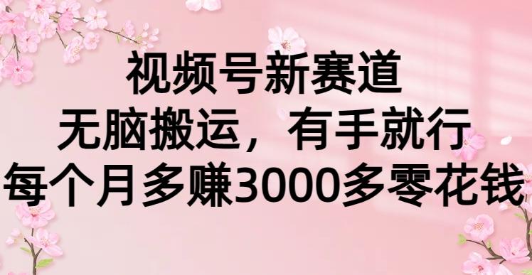 (9278期)视频号新赛道，无脑搬运，有手就行，每个月多赚3000多零花钱壹学湾 - 一站式在线学习平台，专注职业技能提升与知识成长壹学湾