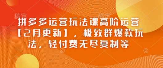 拼多多运营玩法课高阶运营【2月更新】，极致群爆款玩法，轻付费无尽复制等壹学湾 - 一站式在线学习平台，专注职业技能提升与知识成长壹学湾