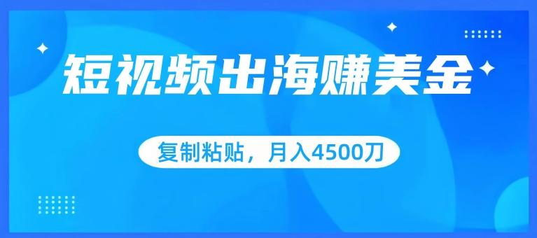 短视频出海赚美金，复制粘贴批量操作，小白轻松掌握，月入4500美刀【揭秘】壹学湾 - 一站式在线学习平台，专注职业技能提升与知识成长壹学湾