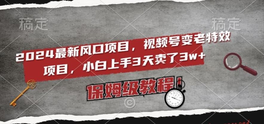 2024最新风口项目，视频号变老特效项目，电脑小白上手3天卖了3w+，保姆级教程【揭秘】壹学湾 - 一站式在线学习平台，专注职业技能提升与知识成长壹学湾