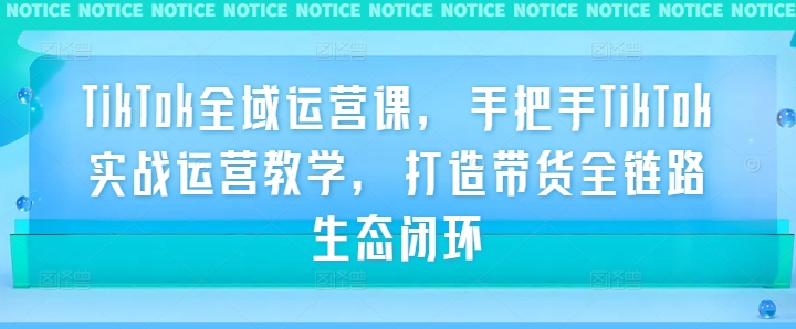 TikTok全域运营课，手把手TikTok实战运营教学，打造带货全链路生态闭环壹学湾 - 一站式在线学习平台，专注职业技能提升与知识成长壹学湾