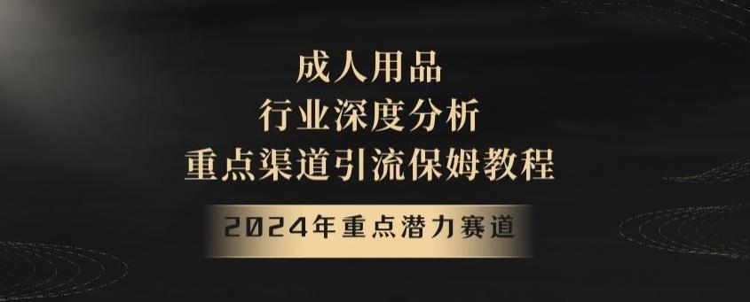 2024年重点潜力赛道，成人用品行业深度分析，重点渠道引流保姆教程【揭秘】壹学湾 - 一站式在线学习平台，专注职业技能提升与知识成长壹学湾