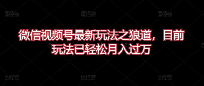 微信视频号最新玩法之狼道，目前玩法已轻松月入过万【揭秘】壹学湾 - 一站式在线学习平台，专注职业技能提升与知识成长壹学湾