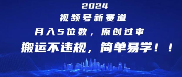 2024视频号新赛道，月入5位数+，原创过审，搬运不违规，简单易学【揭秘】壹学湾 - 一站式在线学习平台，专注职业技能提升与知识成长壹学湾