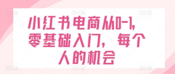 小红书电商从0-1，零基础入门，每个人的机会壹学湾 - 一站式在线学习平台，专注职业技能提升与知识成长壹学湾