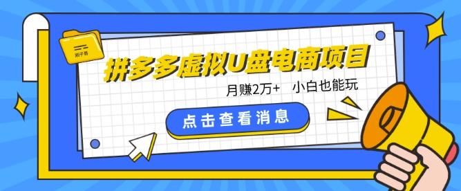 拼多多虚拟U盘电商红利项目：月赚2万+，新手小白也能玩壹学湾 - 一站式在线学习平台，专注职业技能提升与知识成长壹学湾