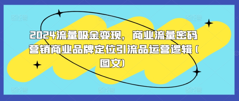 2024流量吸金变现，商业流量密码营销商业品牌定位引流品运营逻辑(图文)壹学湾 - 一站式在线学习平台，专注职业技能提升与知识成长壹学湾