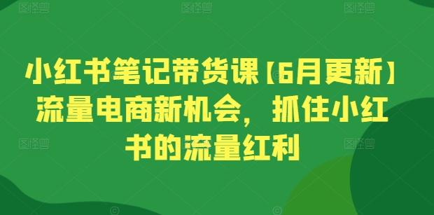 小红书笔记带货课【6月更新】流量电商新机会，抓住小红书的流量红利壹学湾 - 一站式在线学习平台，专注职业技能提升与知识成长壹学湾