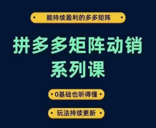 拼多多矩阵动销系列课，能持续盈利的多多矩阵，0基础也听得懂，玩法持续更新壹学湾 - 一站式在线学习平台，专注职业技能提升与知识成长壹学湾